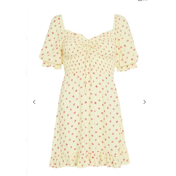 NWT Faithful The Brand Sage Mini Dress Santa Maria Floral Print - Picture 9 of 11